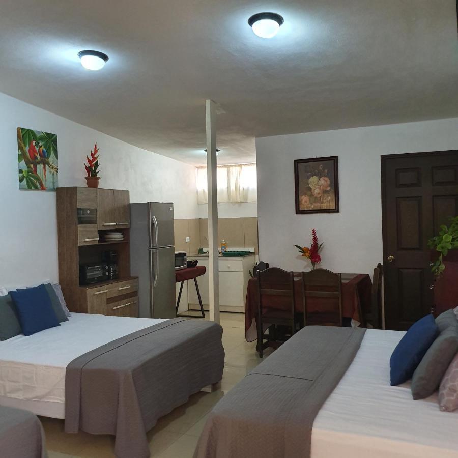 فندق أوفيتافي  Bahia Ballena Loft المظهر الخارجي الصورة